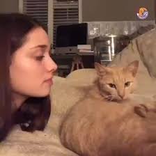 Having a cat removes almost all kinds of depression 🤗🥰