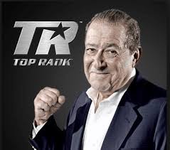 Boxing Guides : picks, odds and tips