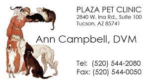 Bloom plaza animal hospital san jose, ca 95123. Veterinarian And Pet Services Services Journey To Healing