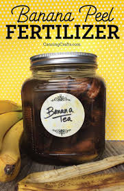 Save Those Peels Feed Your Garden With Easy To Make Banana Peel Compost Tea Fertilizer Give Your O Compost Tea Organic Vegetables Organic Vegetable Garden