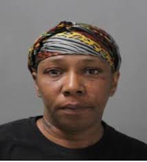 WOMAN ADMITS SETTING FIRE TO DAUGHTER'S HOME: A woman has pled guilty to  attempted arson for setting fire to a Poughkeepsie residence occupied by  her daughter and grandchildren, according to Dutchess County