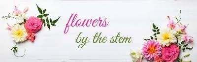 Visit your local florida dollar tree location. Gainesville Florist Flower Delivery By Adams Flower Shop