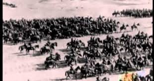 Pin On Horse Video S