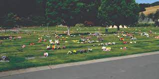 They have a complete selection of burial caskets, cremation items, and now offer custom silk flower. Queen Of Heaven Cemetery Funeral Center Fd1959 Catholic Funeral Cemetery Services
