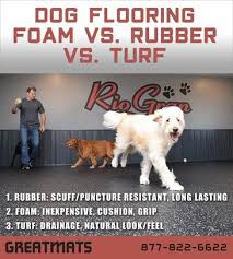 Foam Mats Economy 1 2 Inch Dog Training Dog Daycare Flooring Dog Brain