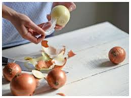 Best organic fertilizer for plants Why You Should Save Onion And Garlic Skin The Times Of India