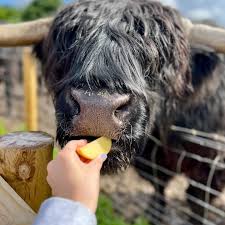 Fall is in full swing, but we're saying one last goodbye to summer with a  recap of some of the incredible vacations Bambooligans took all over the  globe. Our team is taking