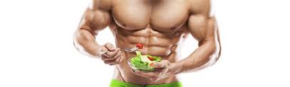 Ab einer kolenhydratmenge von unter 130g pro tag, spricht. Warum Lowcarb Bei Dir Nicht Anschlagt Gannikus Com