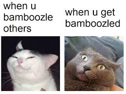 Find the newest bamboozled meme. Plz Don T Bamboozle Me Memedroid Funny Memes Funny Animal Memes Animal Memes