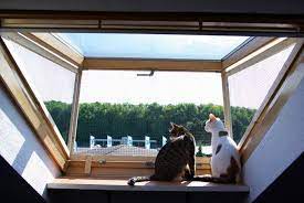 dachfenster katzen losung roof window cat solution dachfenster katze balkon katzen