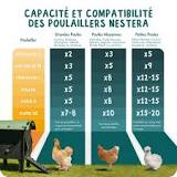 Quelle doit être la taille d'un poulailler?