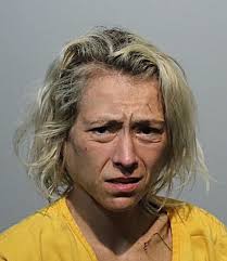 Jersey Shore and Bachelor star Erica Taltos scowls in shock mugshot after  she's arrested for 'punching woman at Arby's'