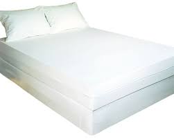 Bargoose 93980z12t Bed Bug Solution Certified Bed Bug Proof 12inch Deep Long Twin Zippered Mattress Cover More Inf Mattress Bed Bugs Solution Mattress Covers