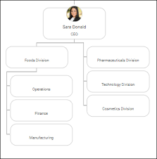 Organimi Org Chart Types Market Organimi