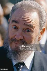 42 Louise Castro Stock Photos, High-Res Pictures, and Images