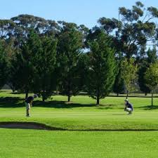 Skins is a golf betting game where you assign a money or point value to each hole, and the player. Wie Kann Man Beim Golf Gegeneinander Zocken Heidegolfer