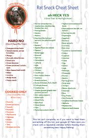 I Made A Cheat Sheet Of Good And Bad Foods From All The Ratty Websites Hope This Is Helpful I M Putting It In My Kitchen Aww Pet Rodents Pet Rats