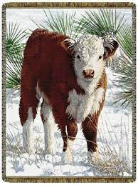 Frosty Morn Cow Tapestry Throw Cow Hereford Cows Hereford Cattle