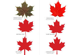 We did not find results for: Opinion The Norway Maple Is A Bully And Shouldn T Be Confused With The Sugar Maple Tree The Globe And Mail