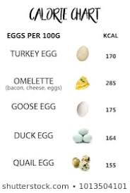 healthy eating food chart stock photos images photography