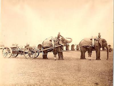 Report My Signal- Blog: Elephants in Artillery Role