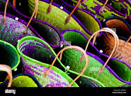 African Straw Bags At An African Market Vienna Vienna State Austria Stock Photo Alamy
