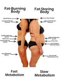 Pin On Weight Loss