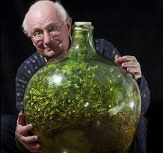50 Year Old Record Busting Bottled Terrarium And It S Not From Dubai Bottle Garden Ecosystems Terrarium