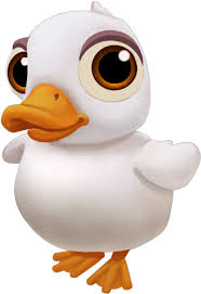 American pekin duck bird poultry, white duck png. Download Baby American Pekin Duck Png Image With No Background Pngkey Com