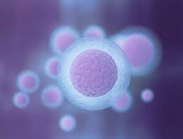How to improve egg retrieval outcomes. What To Expect From Ovarian Stimulation In Ivf Aspire Fertility