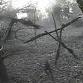 Hiking the Site of the Blair Witch Project event in Darnestown, MD