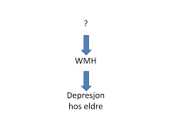 I høy alder opplever mennesker med kroniske sykdommer, intellektuelle forstyrrelser og uførhet ofte depressive plager. Ppt Depresjon Hos Eldre Powerpoint Presentation Free Download Id 2265227