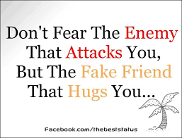 Google Image Result For Http Www Friendship Quotes Info Wp Content Uploads 2012 07 380318 4096 Friendship Quotes Friends Quotes Funny Friendship Quotes Funny