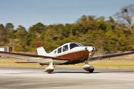 Image result for Piper