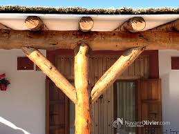 pin en navarrolivier espagne