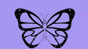 Selain sketsa htam putih, terdapat juga gambar kupu kupu berwrana. Cara Menggambar Kupu Kupu 14 Langkah Dengan Gambar Wikihow