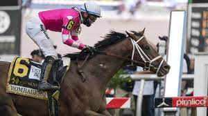 The most popular material for kitchen sinks is stainless steel, which is prized for its durability, resistance to scratching and denting, and versatility. Rombauer Pulls Preakness Upset Baffert S Medina Spirit Third West Hawaii Today