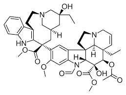 The dividing cancer cells appear blocked in mitosis with condensed chromosomes. Vinca Alkaloid Wikipedia