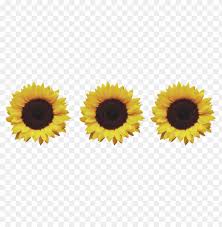 Sunflower Png Tumblr Png Image With Transparent Background Toppng Its resolution is 1024x986 and it is transparent background and png format. sunflower png tumblr png image with