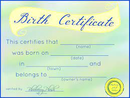 Free Printable Stuffed Animal Birth Certificates Blueberry Plush Birth Certificate Template Birth Certificate Adoption Certificate