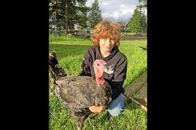 Highland 4-H Club: Meet the club members and projects for 62nd annaul show  and sale