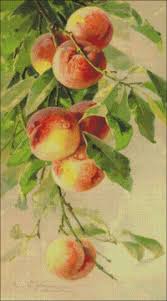 Maybe you would like to learn more about one of these? Yellow Peach Counted Cross Stitch Patterns Ankicoleman Designs Cross Stitch