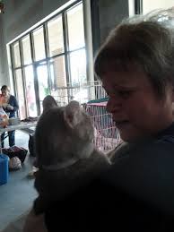 Cat and DOG Chat With Caren: April 2014