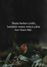 Nalan Sungur Adli Kullanicinin Guzel Sozler Panosundaki Pin Alinti Sozler Guzel Soz Edebiyat