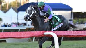 Knicks go wins the 'win and you're in' claiborne breeders' futurity at keeneland on october 6, 2018, qualifying for the sentient. Great Horses Do Great Things Cox Praises Dominant Pegasus Winner Knicks Go Horse Racing News Racing Post