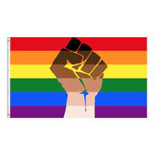 Stolz Unterstützung Faust Regenbogen Flagge Homosexuell Stolz Lesben Faust  LGBT 3x5 Polyester| Alibaba.com