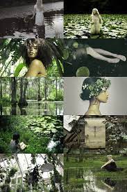 Swamp/southern witch a swamp witch (also commonly known as a southern witch. Skcgsra Faerie Aesthetic Witch Aesthetic Magic Aesthetic