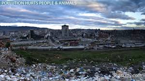 Match the activities with the pictures. What Is Pollution Lesson For Kids Definition Facts Video Lesson Transcript Study Com