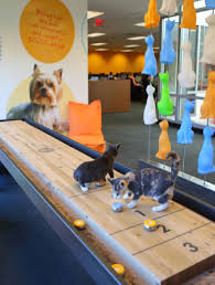 · petplan is a leading pet health insurance provider in the united states and canada the preferred . How Petplan The Leading Pet Insurance Company Moved To A Cloud Based Service