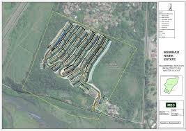 Image result for Dichilus reflexus